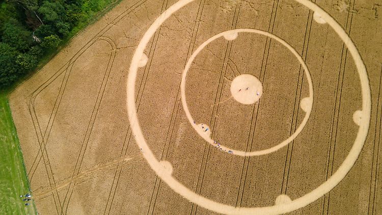 Ob kosmische Botschaft oder nicht, der Bauer dürfte über die plattgedrückten Weizenähren auf seinem Feld nicht sonderlich erfreut sein.