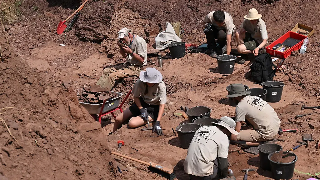 Der-erste-Knochenfund-am-Bromacker-stammt-vom-Becken-eines-Ursauriers