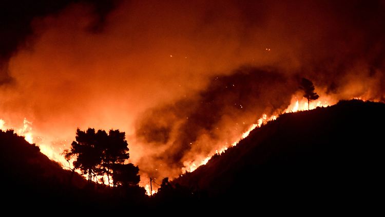 Feuerwand vor Afidnes in Griechenland.