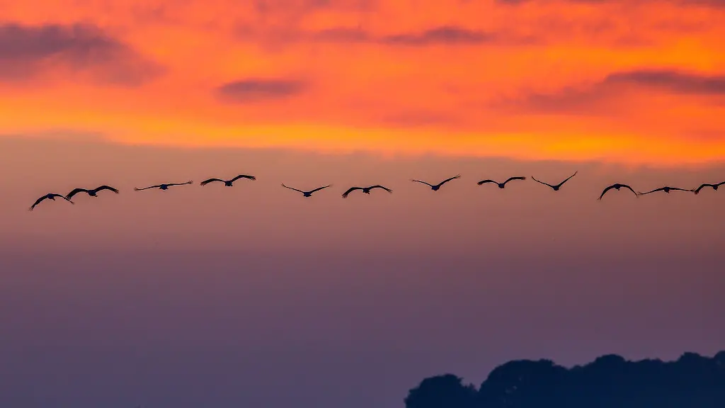 Grosse-Teile-der-Kuestengewaesser-von-Mecklenburg-Vorpommern-haben-einen-europaeischen-Schutzstatus-Auch-landwirtschaftliche-Flaechen-liegen-in-Natura-2000-Gebieten-Ueber-ihre-Nutzung-bei-gleichzeitigem-Schutz-der-Artenvielfalt-wird-gerungen
