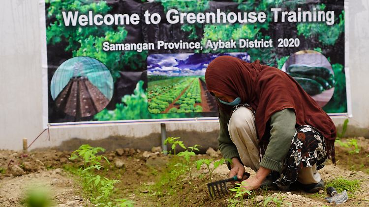 Ein Projekt der Welthungerhilfe in Afghanistan: Im Dorf Khwaja Ghaib lernen Menschen den Gemüseanbau im Gewächshaus.
