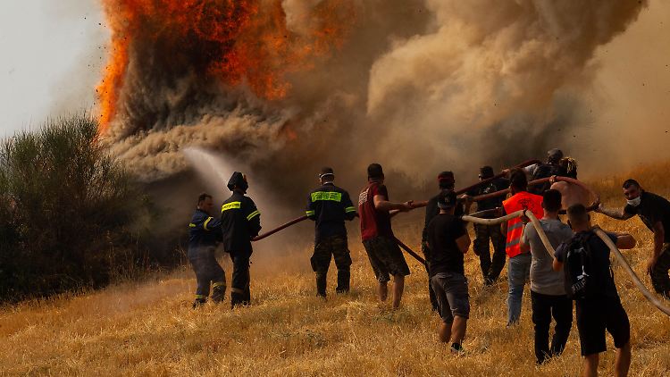 Feuerwehrleute und freiwillige Helfer kämpfen im griechischen Afidnes gegen die Flammen.