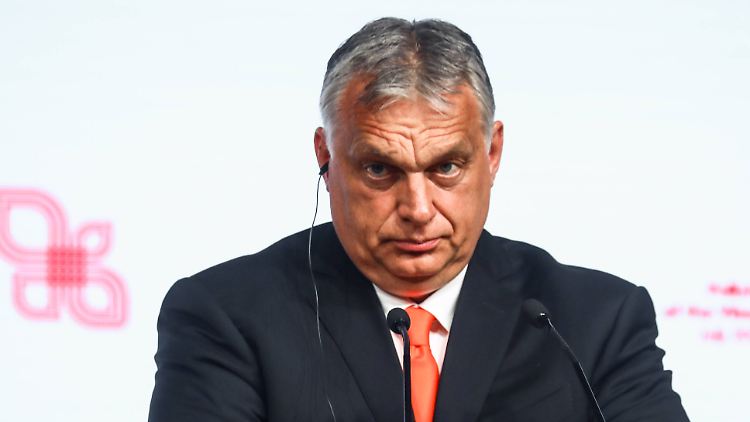 Ungarns Parlament, das von Orbans Fidesz-Partei dominiert wird, hatte das Gesetz im Juni durchgewunken.