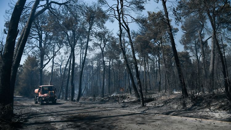 Weil sich die Einsatzkräfte darauf konzentrierten Teile Athens vor den Flammen zu retten, wurden Großbrände in anderenteils bisher kaum aus der Luft bekämpft. 