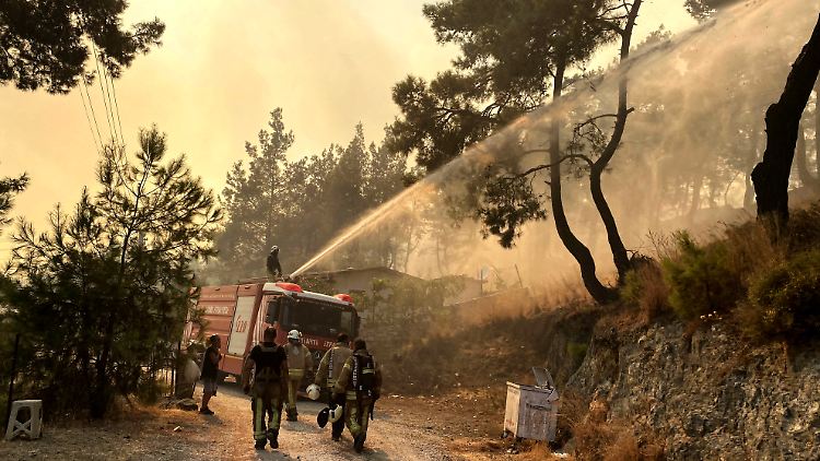 Rund 5250 Feuerwehrleute und mehr als 80 Hubschrauber, Flugzeuge und Drohnen sowie etwa 1000 Fahrzeuge bekämpfen laut Präsident Erdogan die verbliebenen Feuer in der Türkei. 