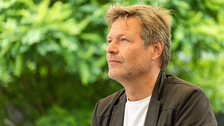 Deutschland sollte die Gelegenheit nutzen, sich zum Nulltarif zu verschulden, meint Robert Habeck. 