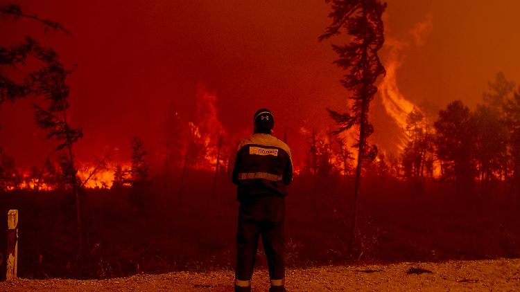 Bei starkem Wind breiten sich die Feuer rasend schnell aus. 