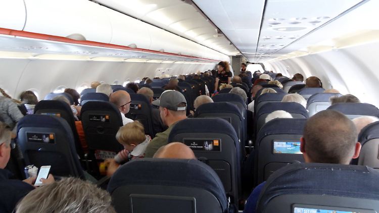 Die große Freiheit, da fliegt sie davon!