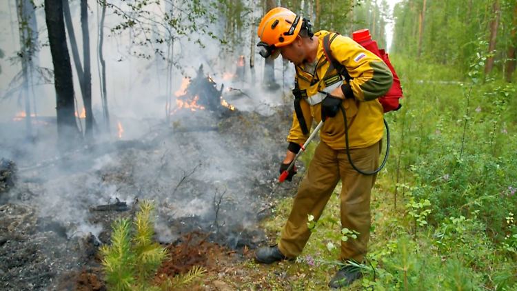 Vor allem in Jakutien nahmen die Waldbrände erheblich zu.