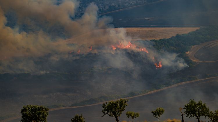 Der Difesa Grande in Apulien steht seit Tagen in Flammen.