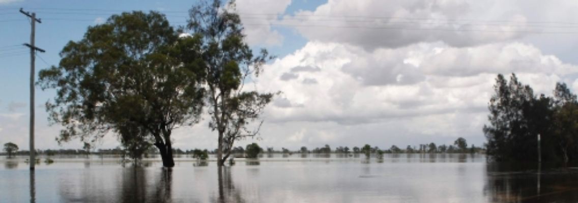 Viel zu ernten gibt es hier nicht: Gewaltige Mengen an Anbaufläche stehen unter Wasser.