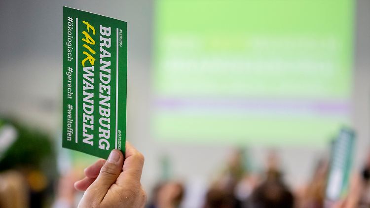 Teilnehmer stimmen bei der Landesdelegiertenkonferenz der Grünen zur Vorbereitung der Landtagswahl 2019 ab.