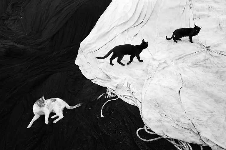 1528-2024-POTY-Karlynne-Wintels