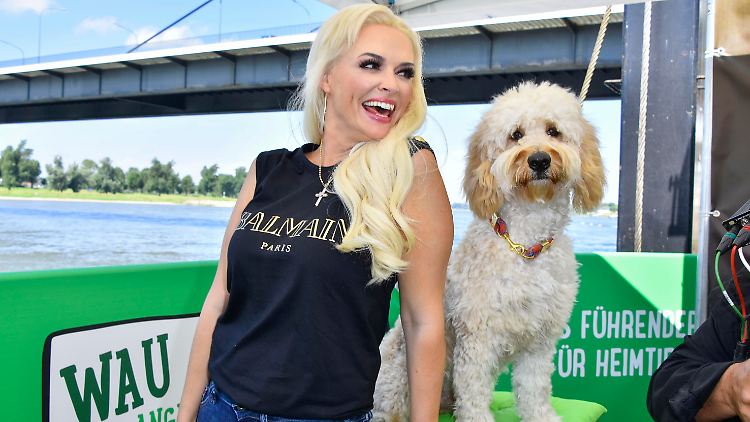 Daniela Katzenberger hatte mit Hund Teddy beim 20-jährigen Jubiläum von Zooplus die erste schwimmende Hundewiese der Welt eröffnet.