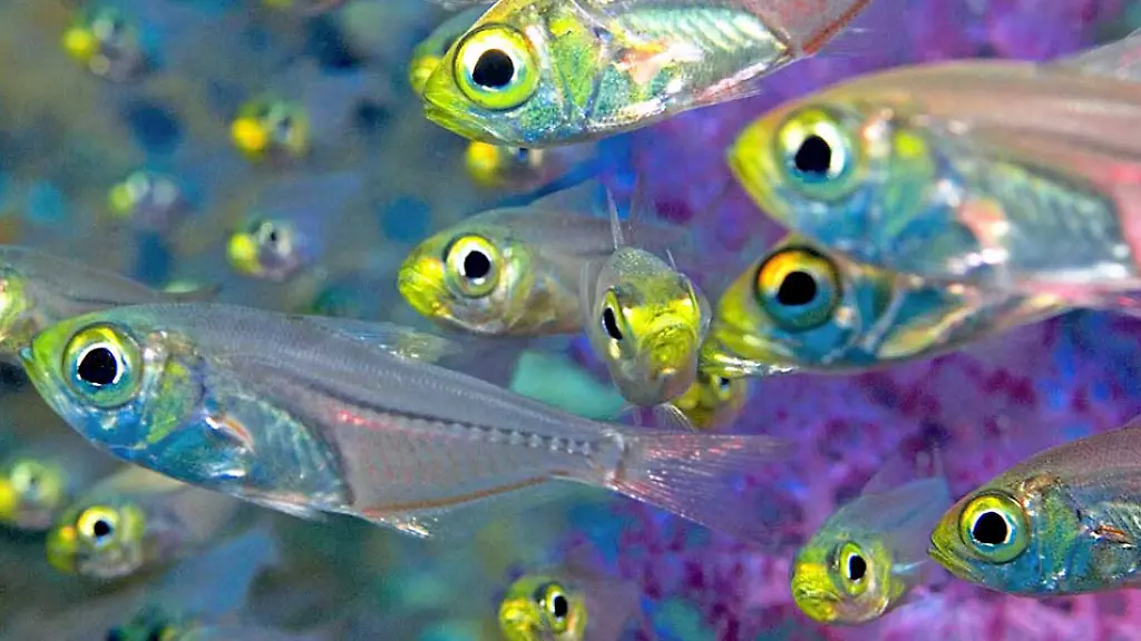 nicht-weiterverwenden