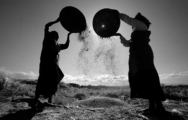 2189-2024-POTY-Peter-Jeschke-pajphoto