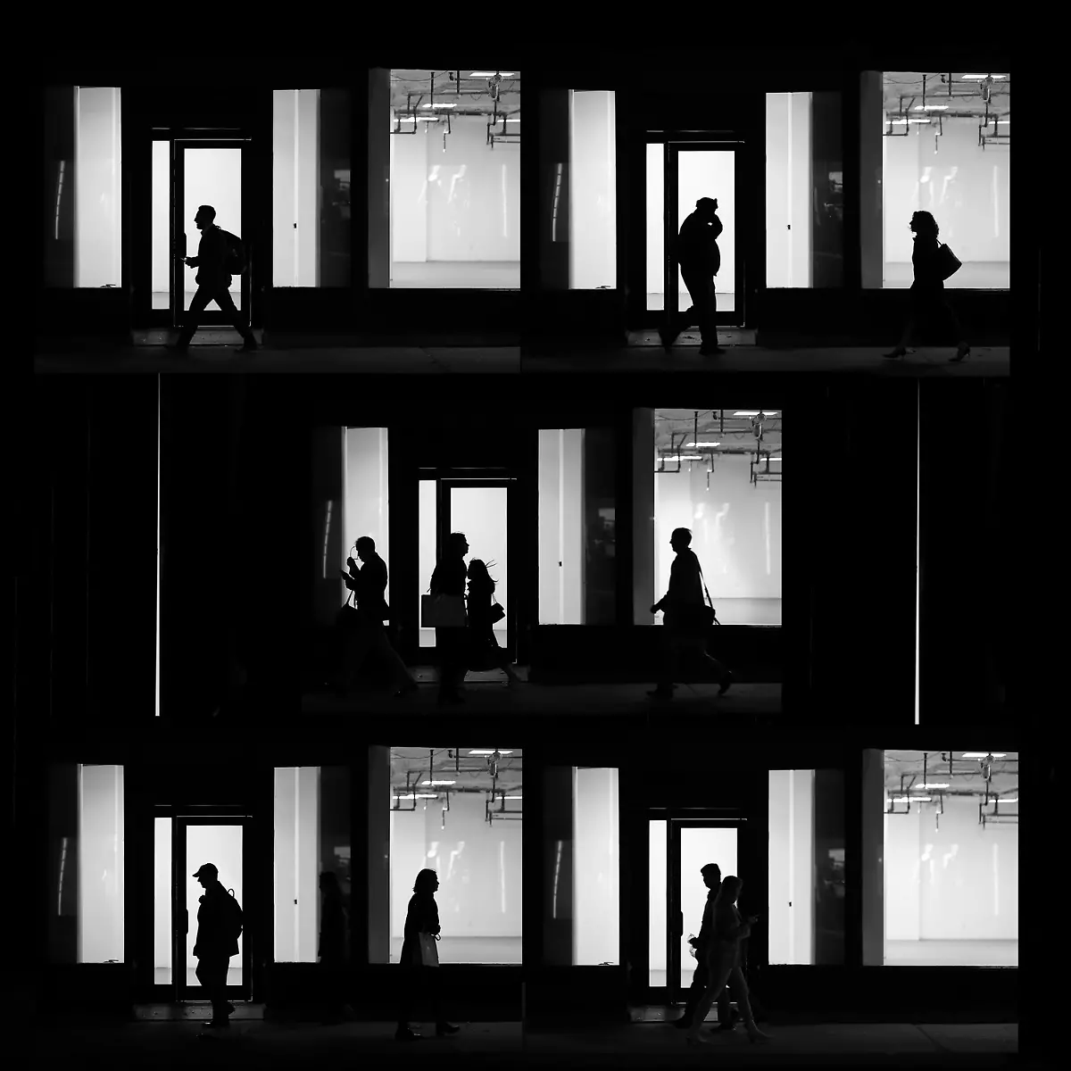 2445-2024-POTY-Zili-Zhang-windinsilence