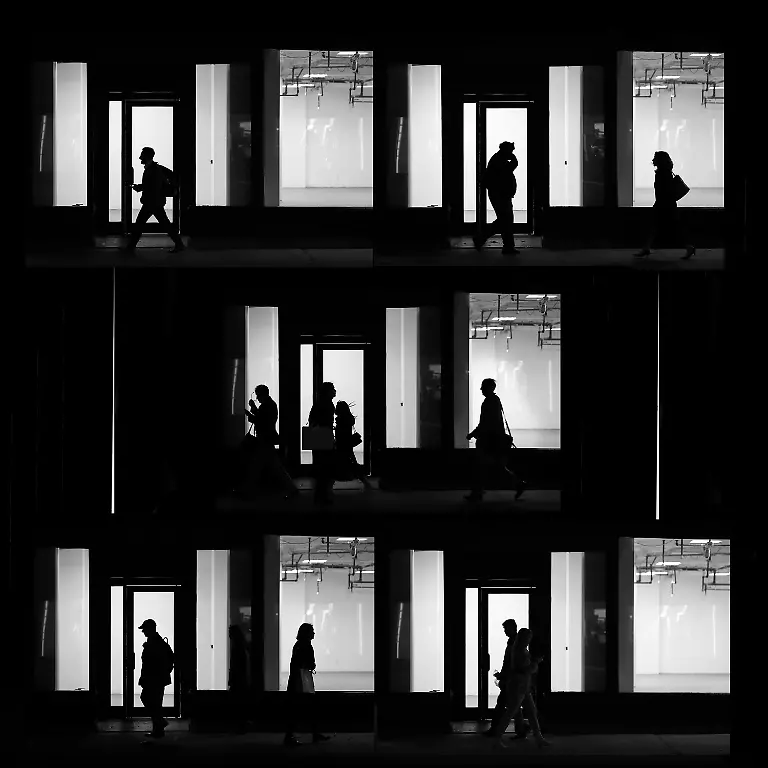 2445-2024-POTY-Zili-Zhang-windinsilence