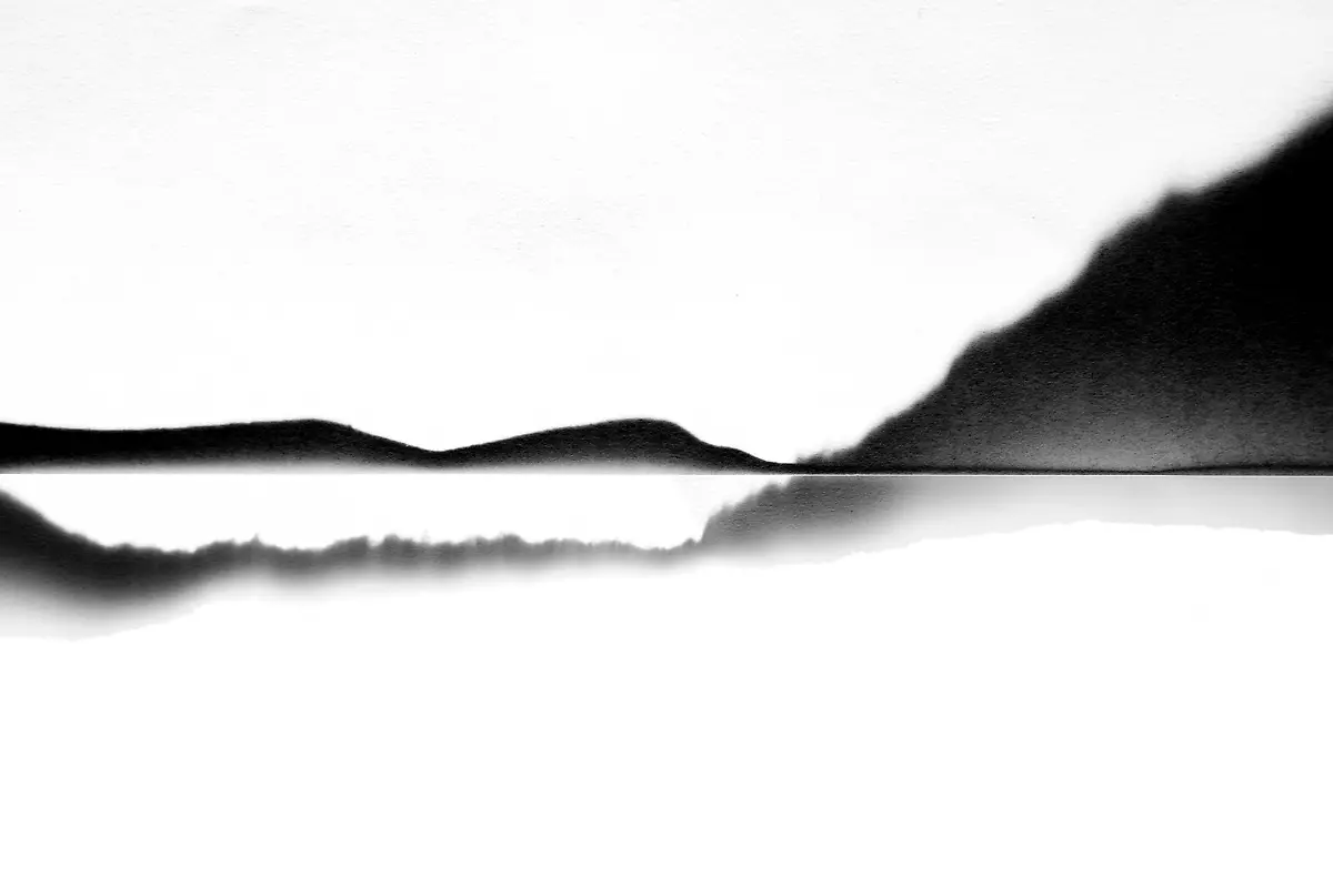 1553-2024-POTY-Jay-Tang-visualcreature