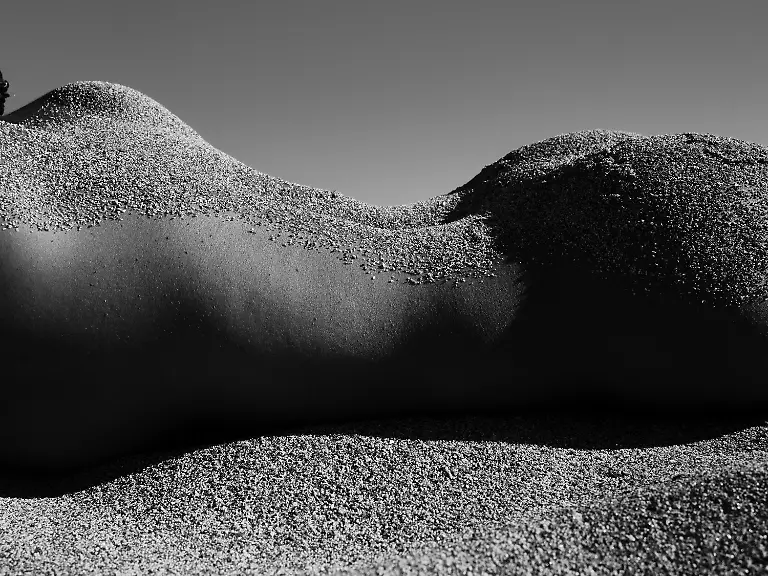 1308-2024-POTY-Jasmine-Lord