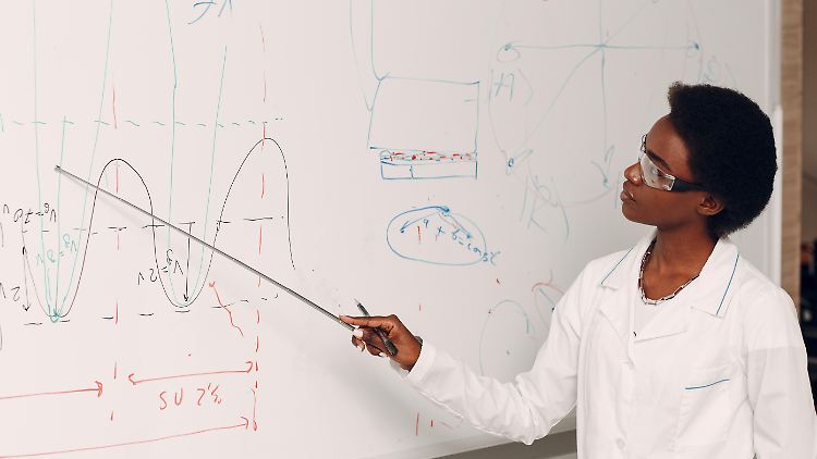 Die Aktienmärkte, eine schwerverständliche Wissenschaft?