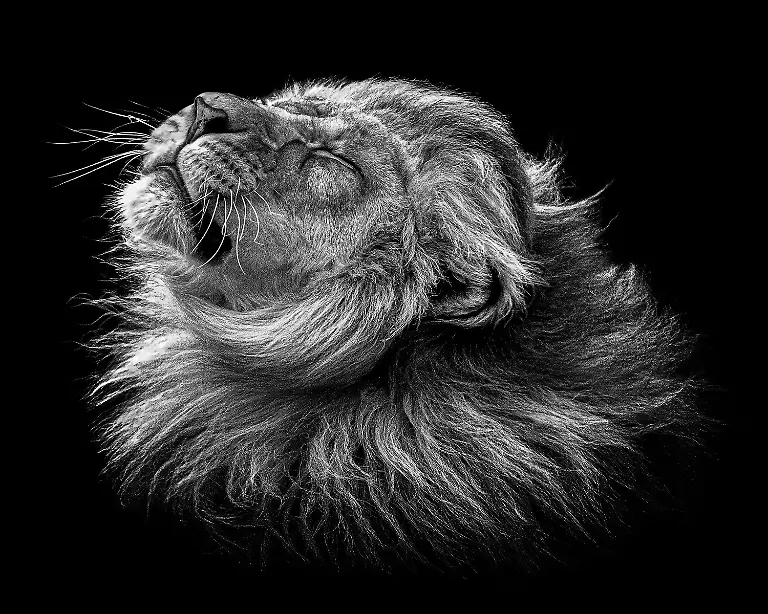 1420-2024-POTY-Gary-Cox-garycoxphotography