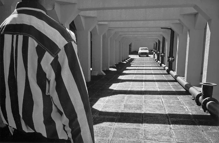 4-2420-2024-POTY-Steven-Benson-stevenbensonphotographer