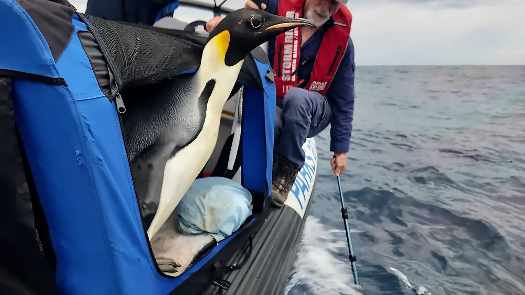 512d2cf3bfd6873b7c4e9be5b73fa1a4