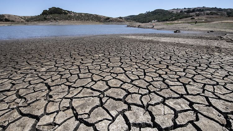 Laut Weltklimarat wird es aufgrund der Erderwärmung mehr Extremwetterlagen wie Dürren, Hitzewellen und Überschwemmungen geben. 