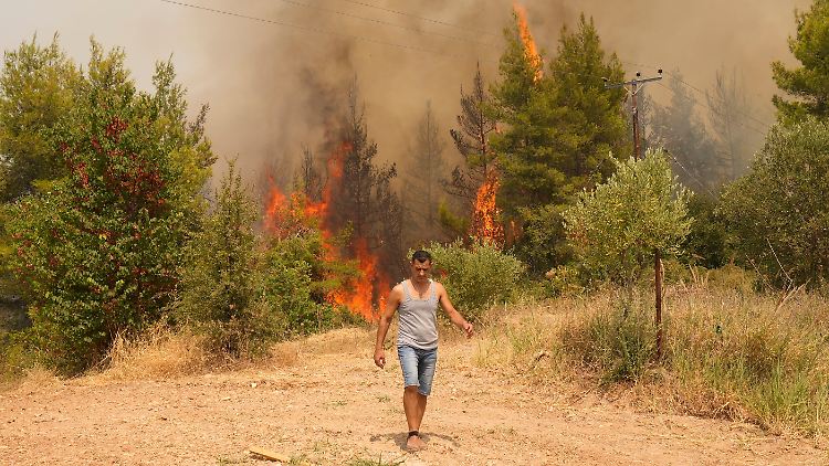 Auf der griechischen Insel Euböa ist erneut ein Buschbrand ausgebrochen. 