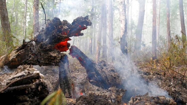 Die Teilrepublik Jakutien ist am schlimmsten von den Waldbränden betroffen.
