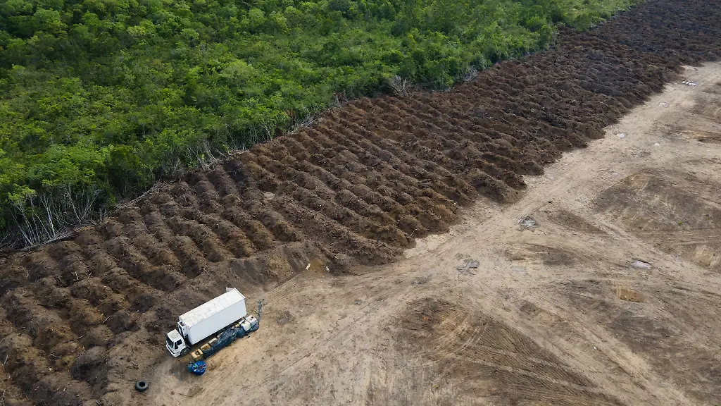 Durch-das-Gesetz-soll-die-Abholzung-des-Regenwaldes-etwa-im-Amazonas-deutlich-reduziert-werden