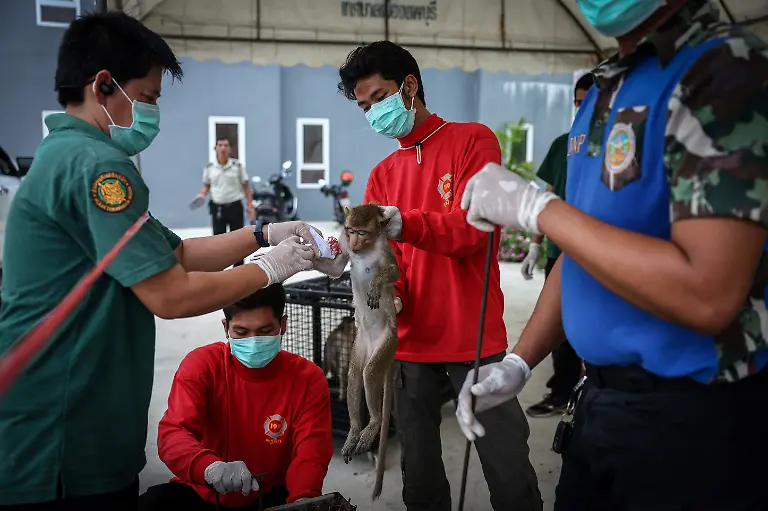 Department-of-National-Parks-Wildlife-and-Plant-Conservation-personnel
