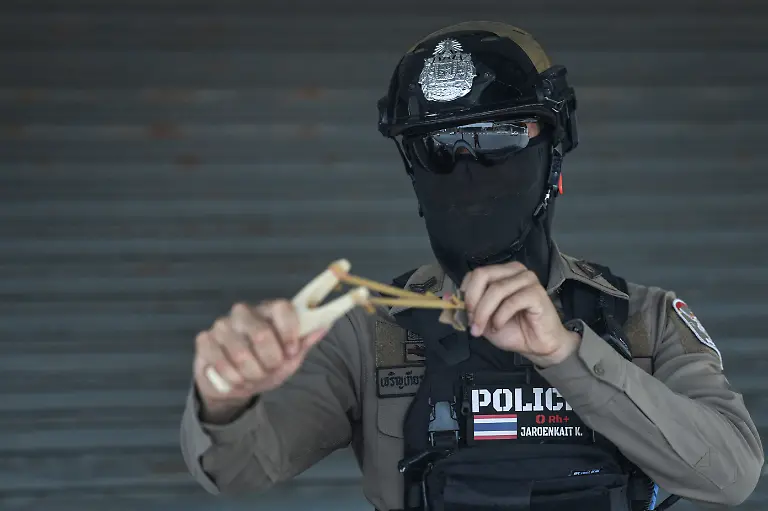 2024-11-13T230035Z-326601591-RC26U6APGZDB-RTRMADP-3-THAILAND-MONKEYS-LOPBURI