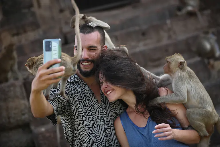 2024-11-13T230101Z-847138726-RC2RK4A4TSM9-RTRMADP-3-THAILAND-MONKEYS-LOPBURI