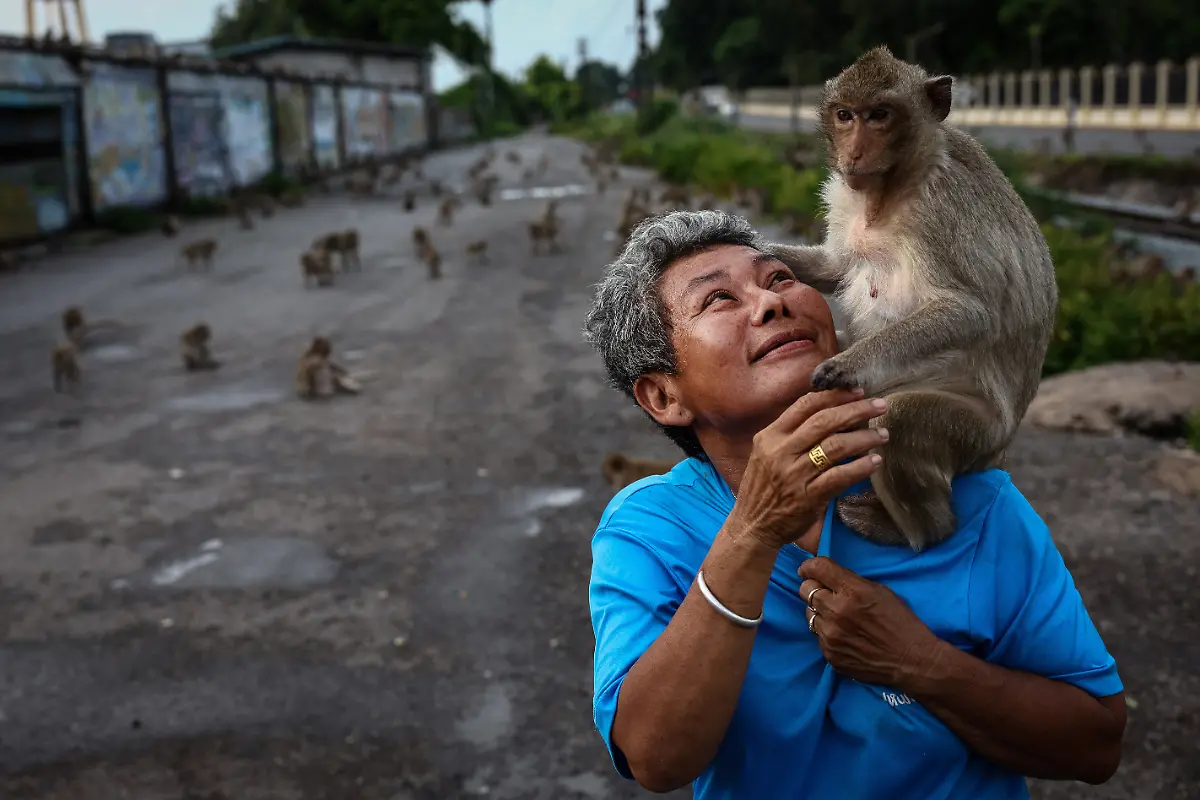 Sumalee-Srichomphoo-60-a-local-resident-who-has-been-feeding-monkeys-for-twelve-years