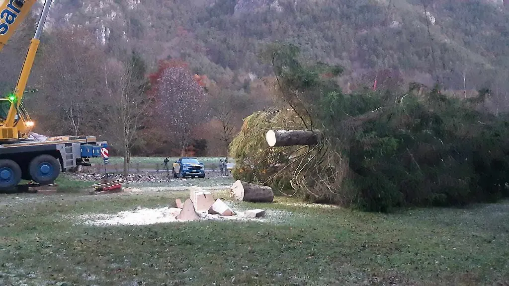 8cf25a523d15f6f85a3e018d38cf0298