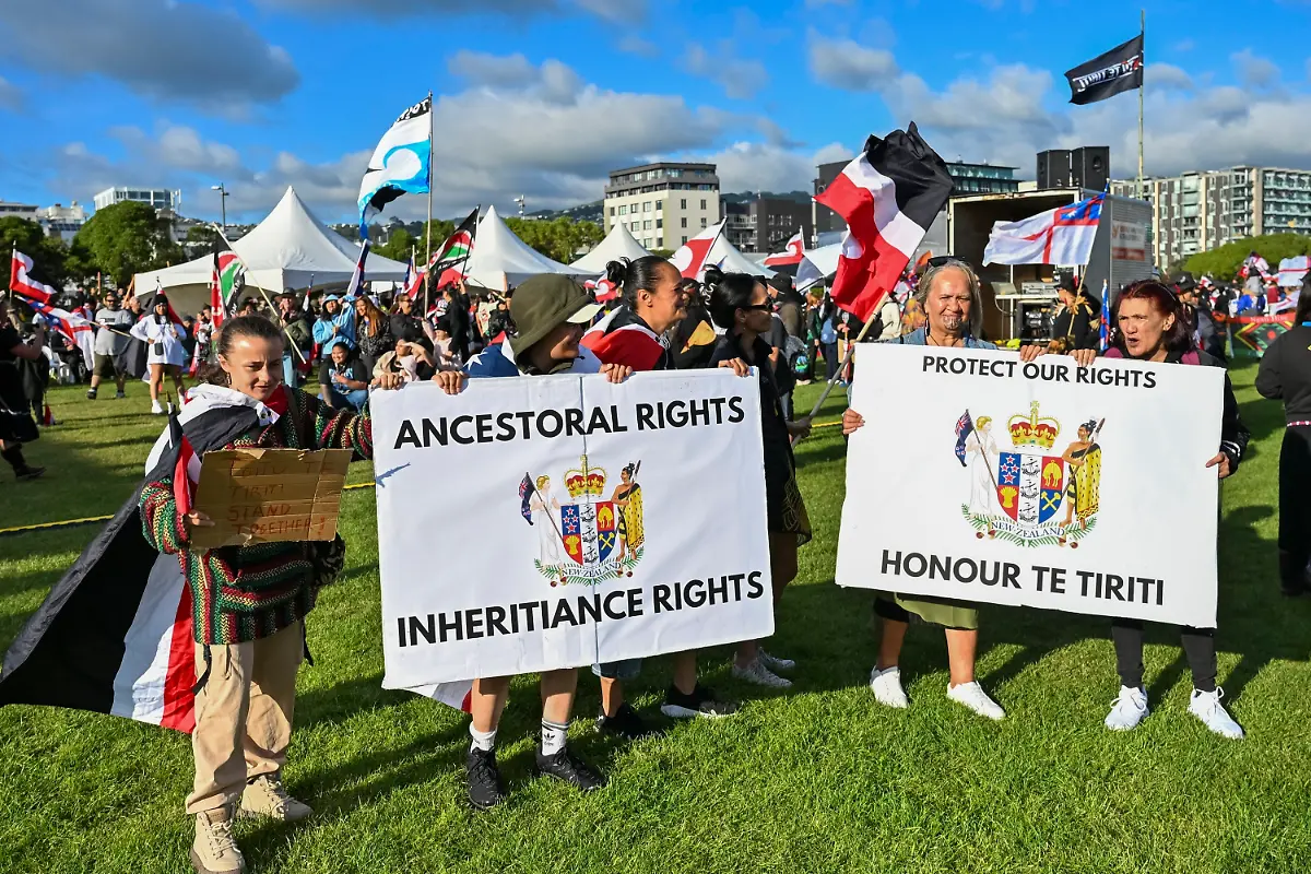 155c498b247be26b2427862f6f5b7b01