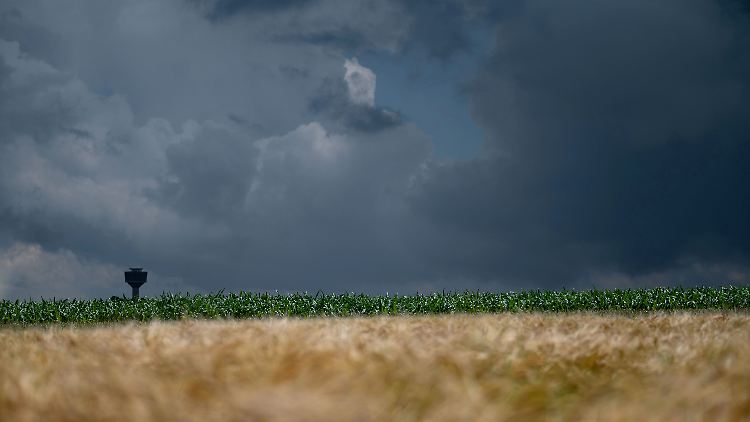Der Osten bekommt in der kommenden Woche reichlich Regen ab. Die Temperaturen zur Wochenmitte sind frühherbstlich.