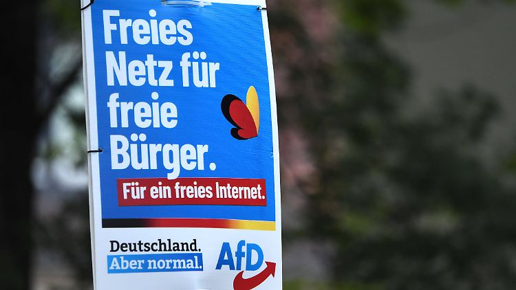 Bei einigen AfD-Anhängern sind offenbar auch die Nachrichtenquellen alternativ. 