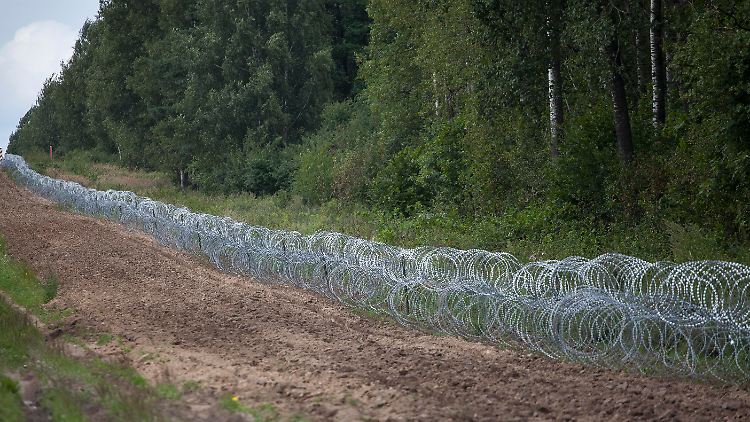 Noch ist hier nur Draht: In Kürze soll an der polnisch-belarussischen Grenze ein über zwei Meter hoher Zaun errichtet werden