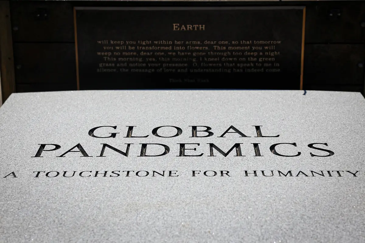 2024-09-11T053207Z-1947497691-RC2SX9A6SBO9-RTRMADP-3-NEW-YORK-POTTERS-FIELD-HART-ISLAND