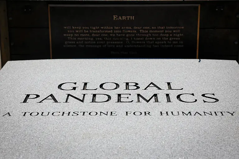 2024-09-11T053207Z-1947497691-RC2SX9A6SBO9-RTRMADP-3-NEW-YORK-POTTERS-FIELD-HART-ISLAND