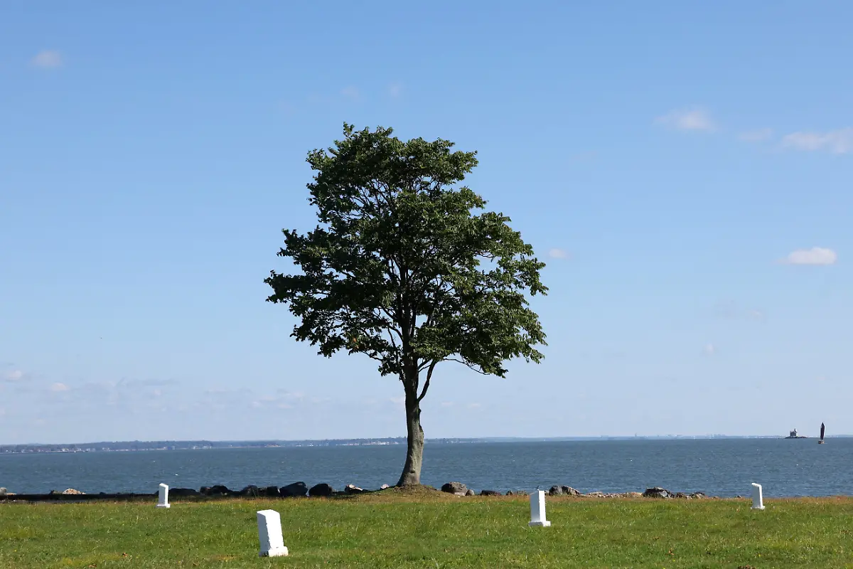 2024-09-11T053208Z-1097539859-RC2RX9AJCQK4-RTRMADP-3-NEW-YORK-POTTERS-FIELD-HART-ISLAND