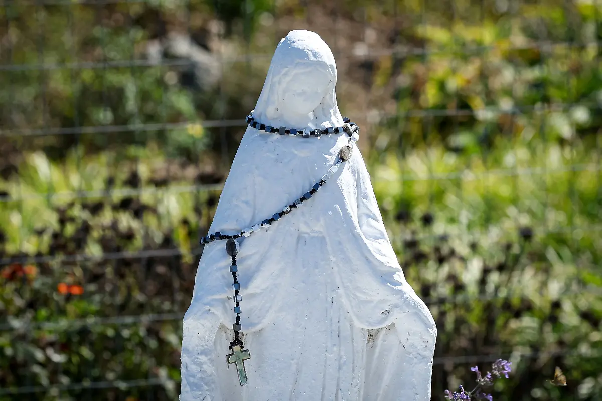 2024-09-11T053224Z-157195888-RC2SX9AF8374-RTRMADP-3-NEW-YORK-POTTERS-FIELD-HART-ISLAND