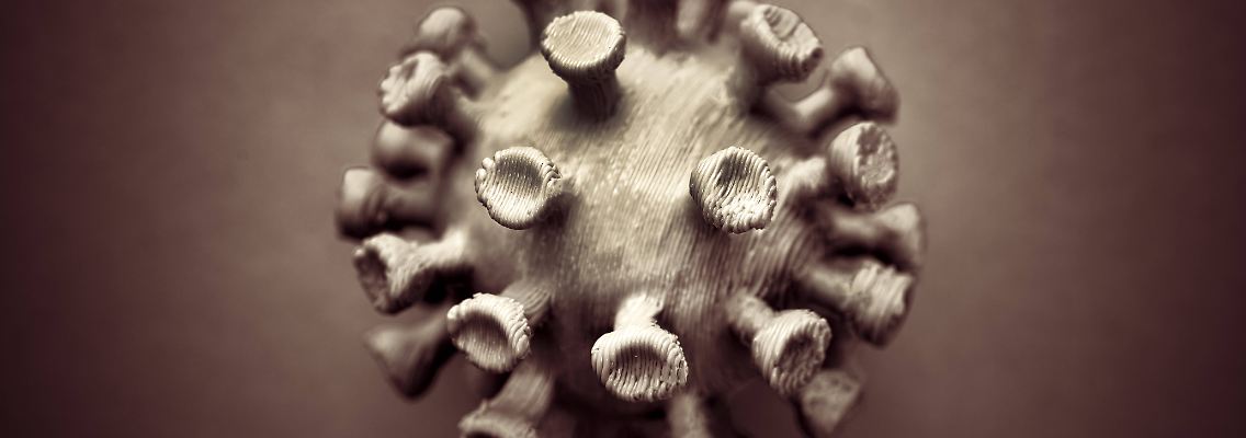 imago0125467280h.jpg