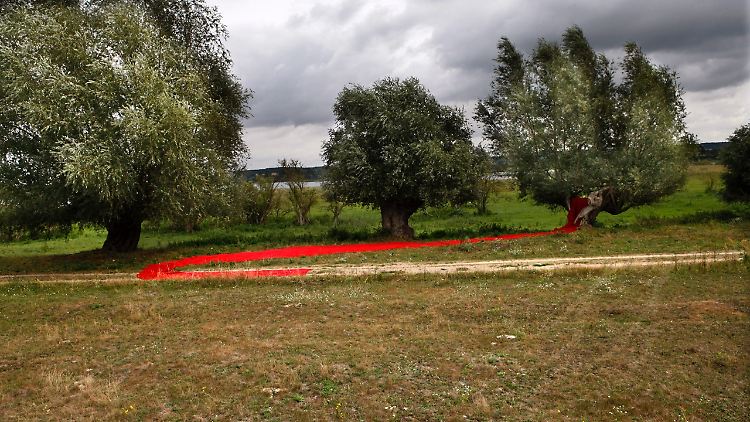 Umwege sind beim 7. UM-Festival willkommen. Hier Kunst von Lina Gazzaz beim Festival 2018.