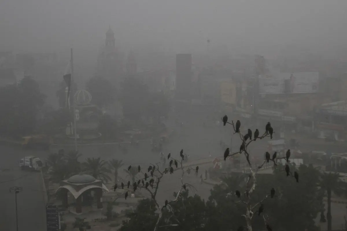 f2ba3a6be884230040daf62e8f6e2bb7