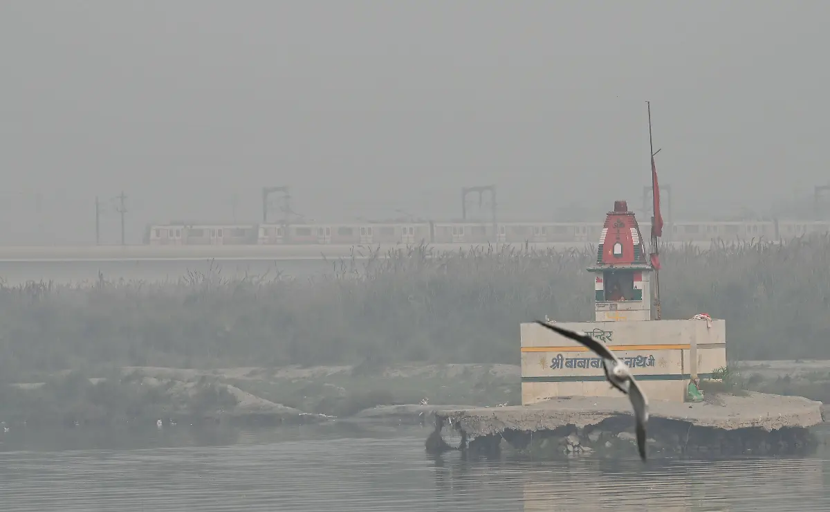 d885bf63a40e3c0b42cde21603e55420