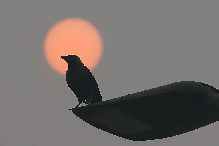 bcec4b0efcfda1d9b63999bbfbf5940a